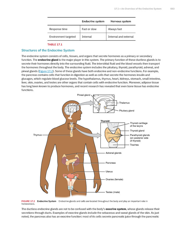 Anatomy and Physiology 2e - New Page
