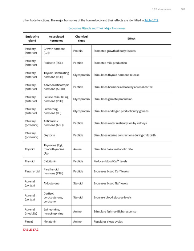 Anatomy and Physiology 2e - New Page