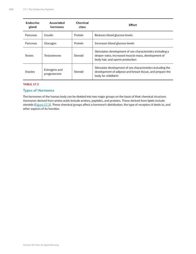 Anatomy and Physiology 2e - New Page