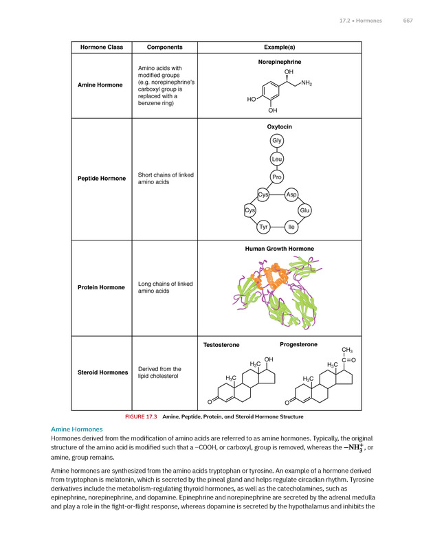 Anatomy and Physiology 2e - New Page