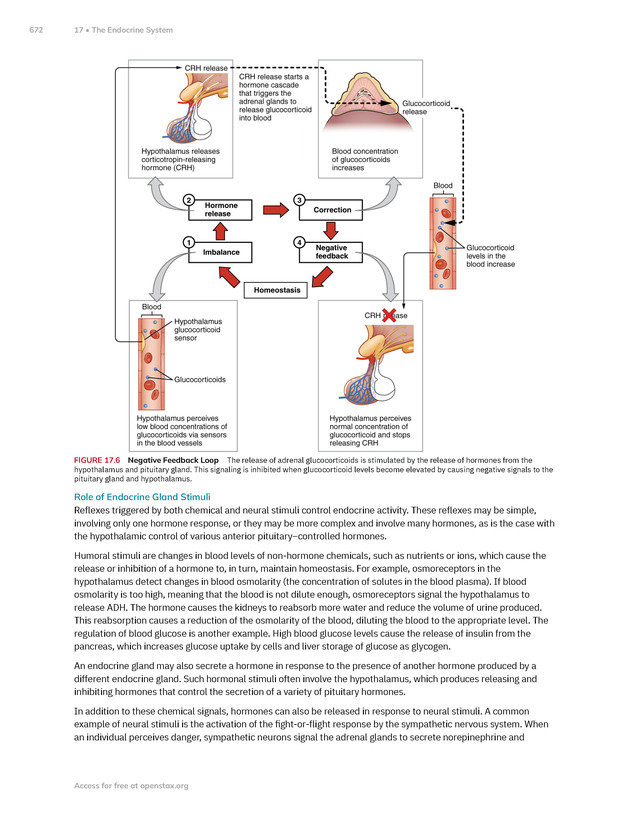 Anatomy and Physiology 2e - New Page