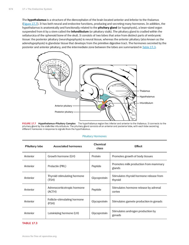Anatomy and Physiology 2e - New Page