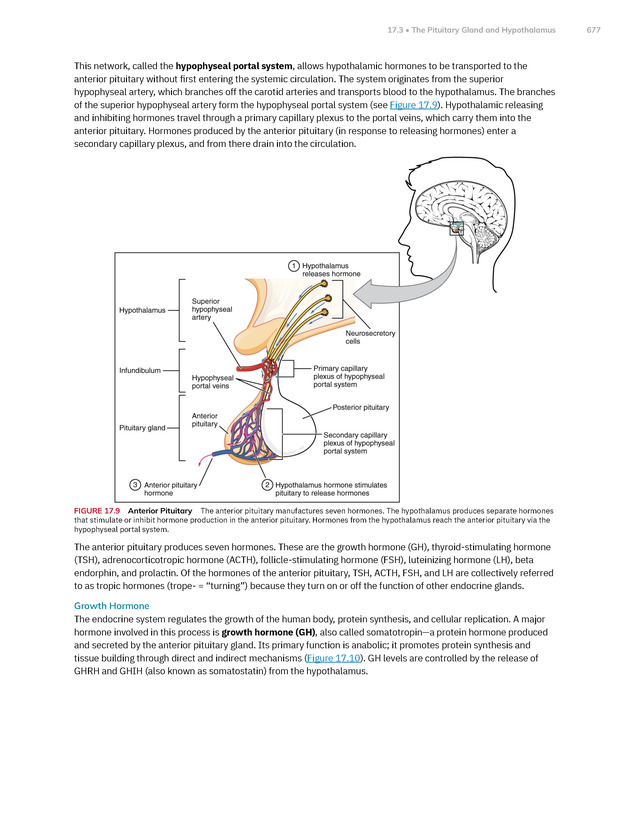 Anatomy and Physiology 2e - New Page