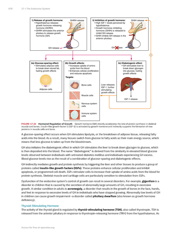Anatomy and Physiology 2e - New Page