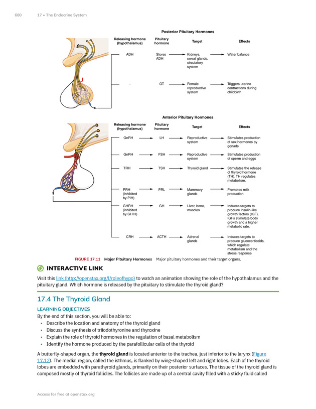 Anatomy and Physiology 2e - New Page