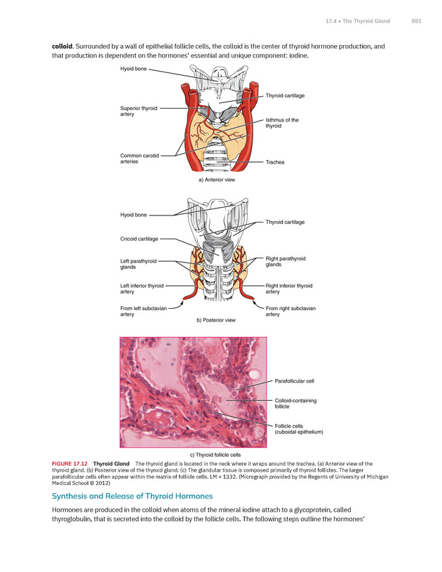 Anatomy and Physiology 2e - New Page