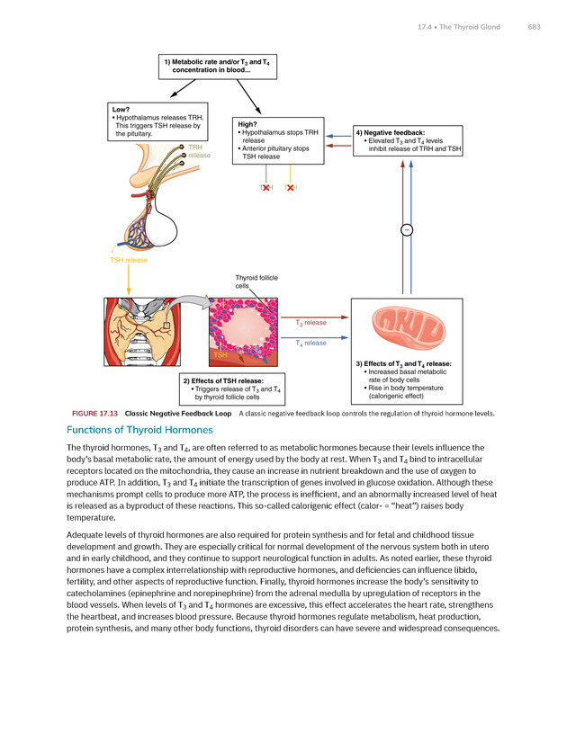 Anatomy and Physiology 2e - New Page