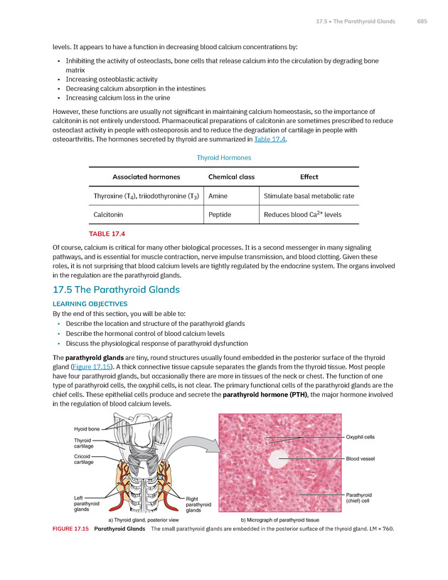 Anatomy and Physiology 2e - New Page