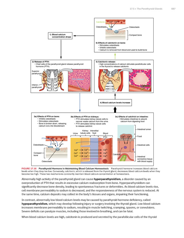 Anatomy and Physiology 2e - New Page