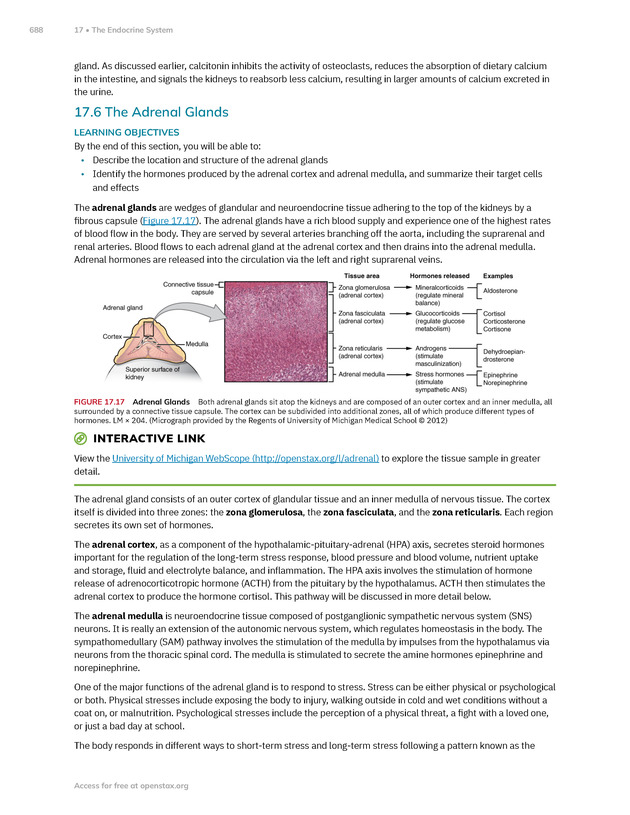 Anatomy and Physiology 2e - New Page