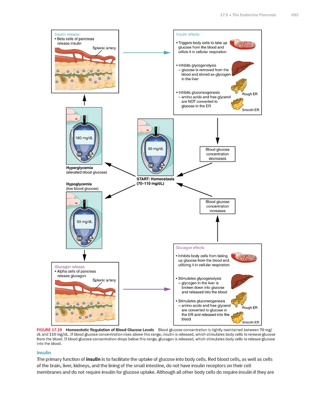 Anatomy and Physiology 2e - New Page