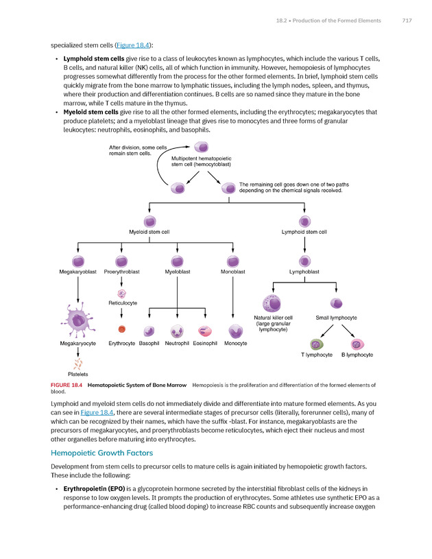 Anatomy and Physiology 2e - New Page