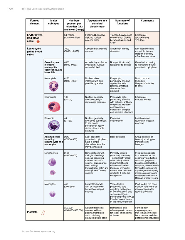 Anatomy and Physiology 2e - New Page