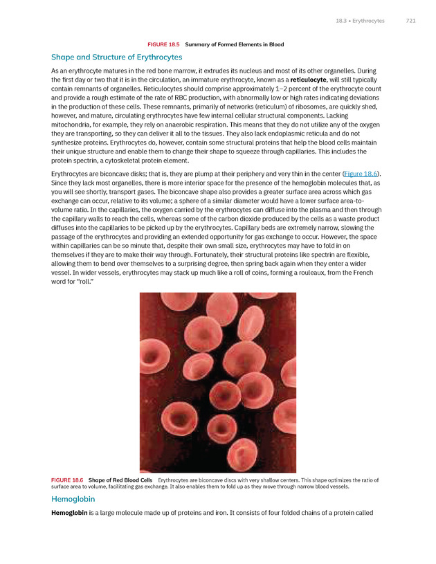 Anatomy and Physiology 2e - New Page