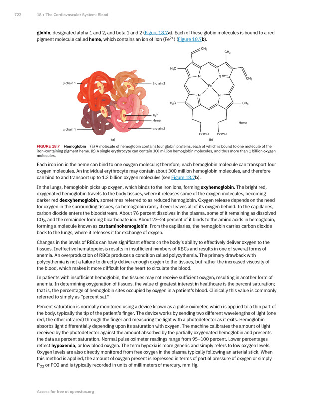 Anatomy and Physiology 2e - New Page