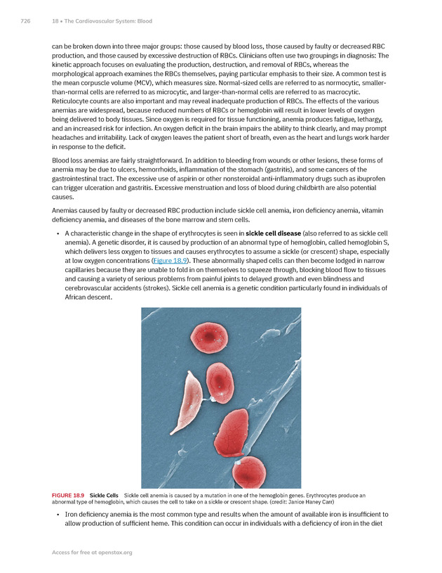 Anatomy and Physiology 2e - New Page