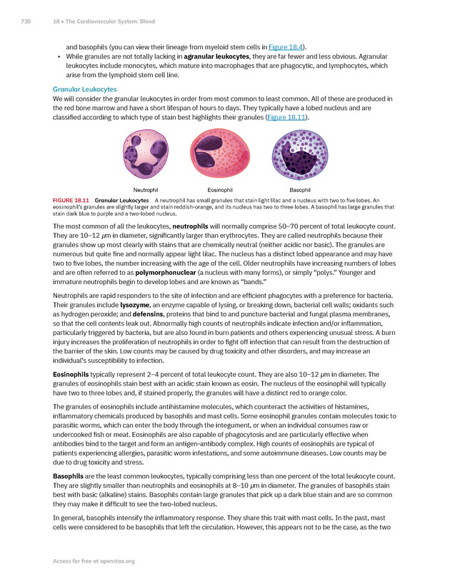 Anatomy and Physiology 2e - New Page