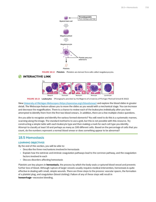 Anatomy and Physiology 2e - New Page