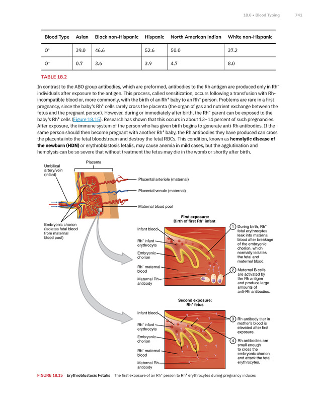 Anatomy and Physiology 2e - New Page