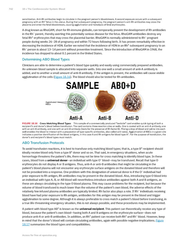 Anatomy and Physiology 2e - New Page