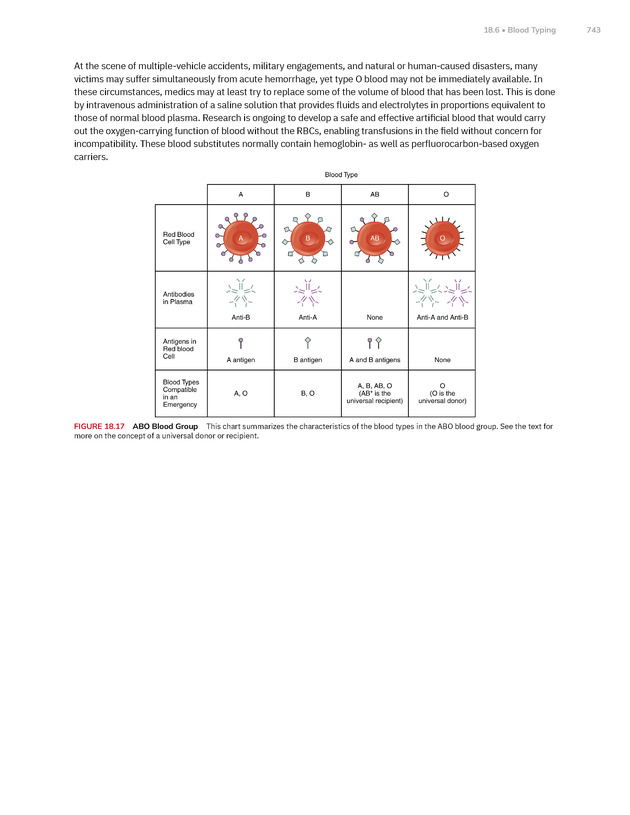 Anatomy and Physiology 2e - New Page