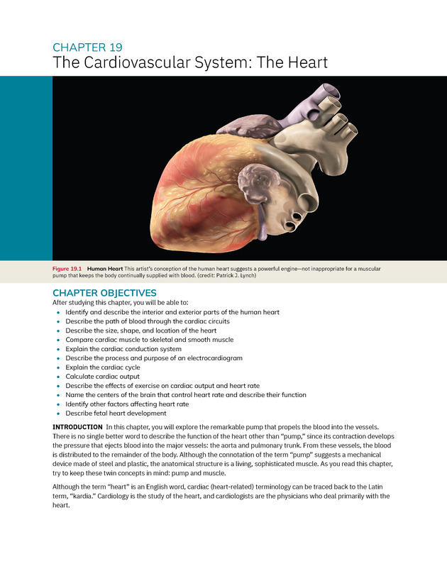 Anatomy and Physiology 2e - New Page