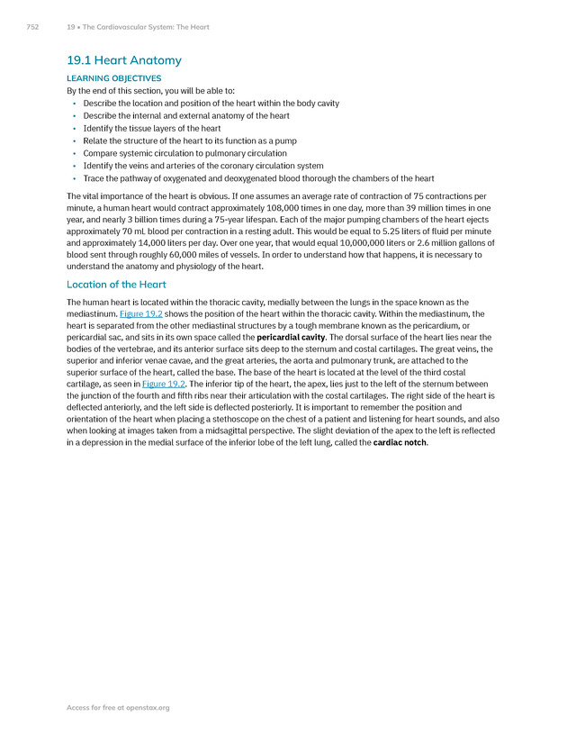 Anatomy and Physiology 2e - New Page