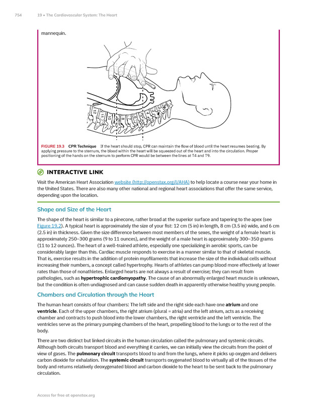 Anatomy and Physiology 2e - New Page