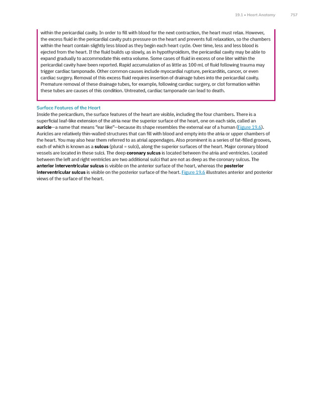 Anatomy and Physiology 2e - New Page