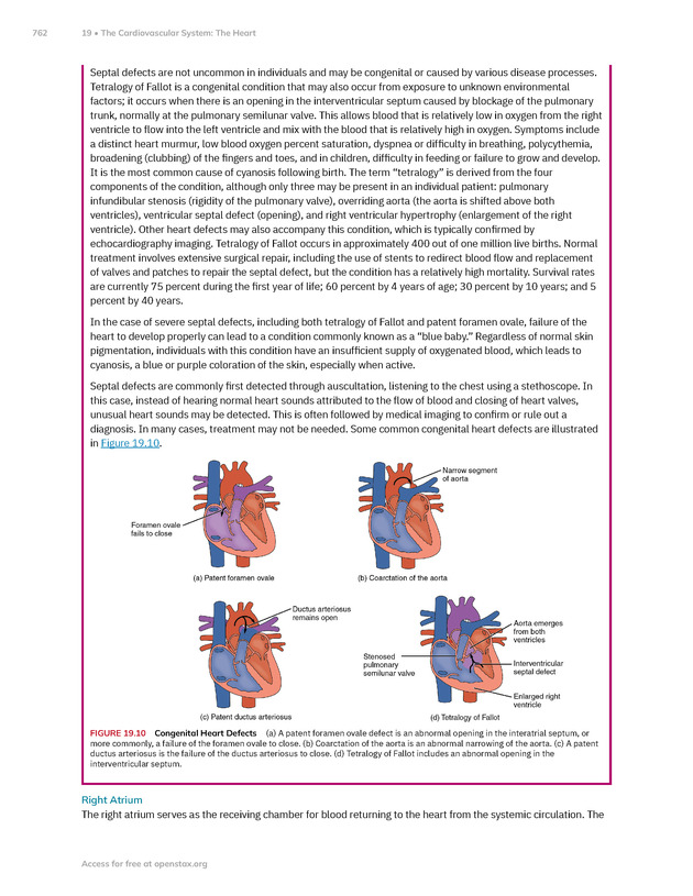 Anatomy and Physiology 2e - New Page
