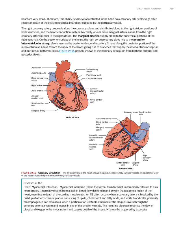 Anatomy and Physiology 2e - New Page
