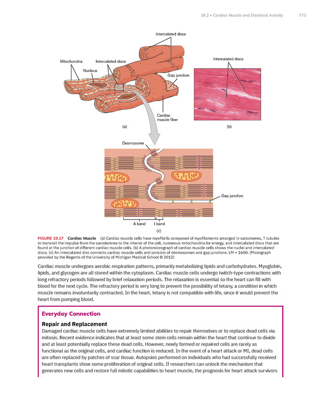 Anatomy and Physiology 2e - New Page