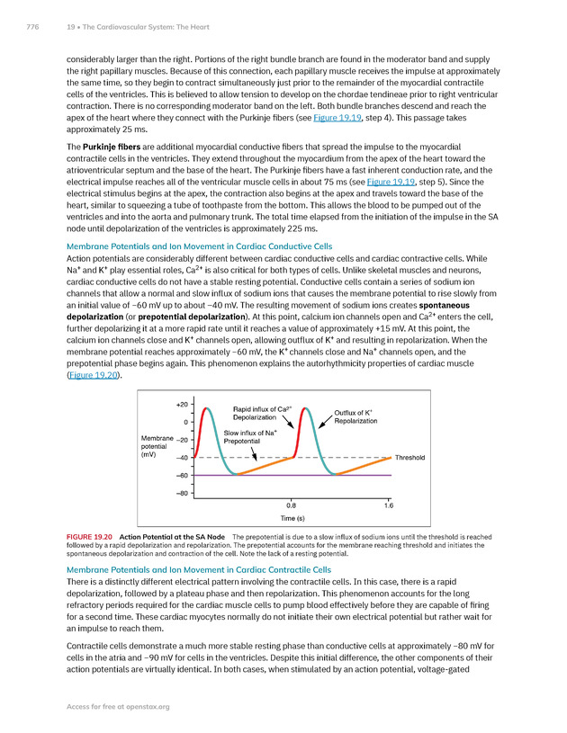 Anatomy and Physiology 2e - New Page