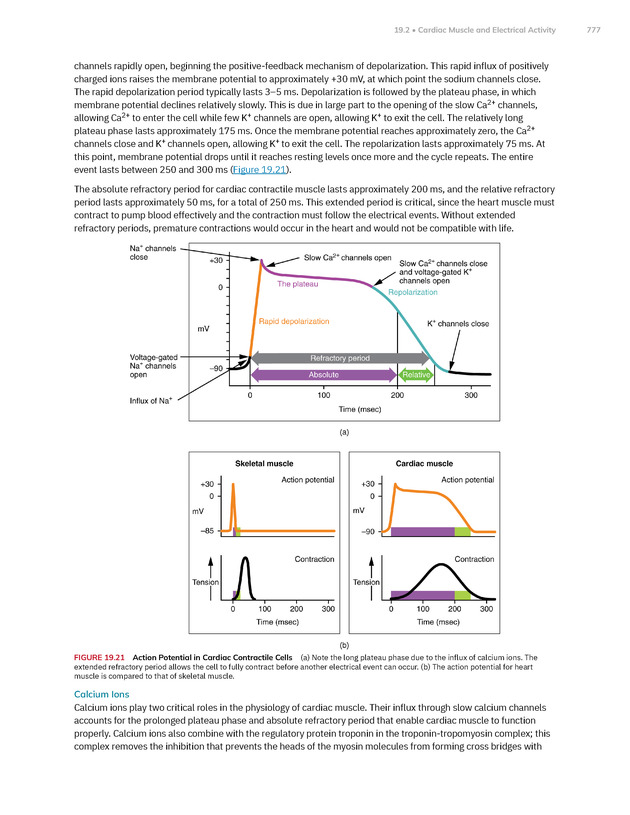 Anatomy and Physiology 2e - New Page