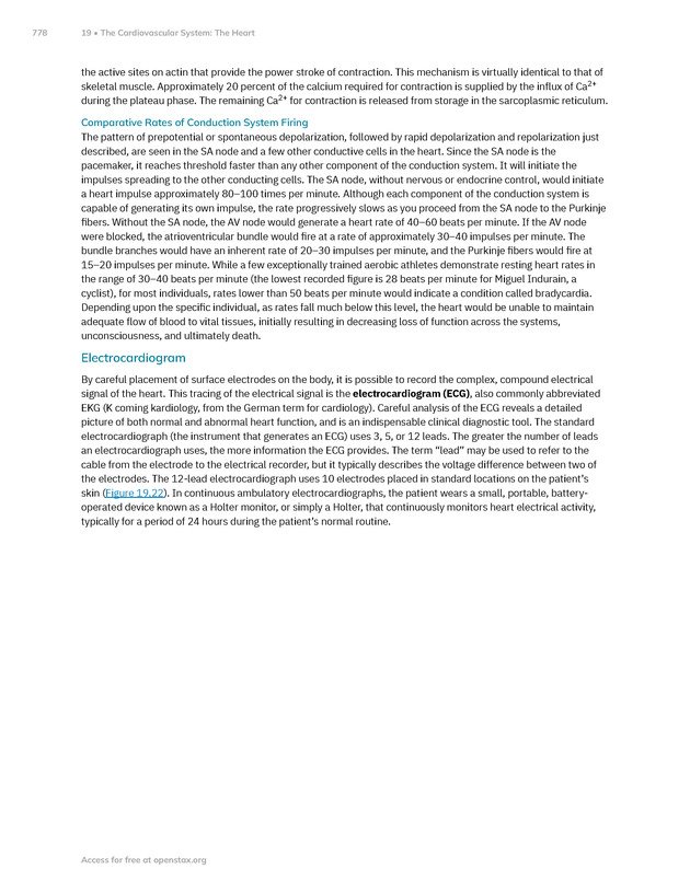 Anatomy and Physiology 2e - New Page