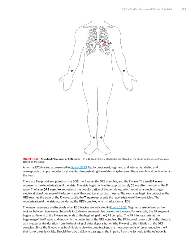 Anatomy and Physiology 2e - New Page