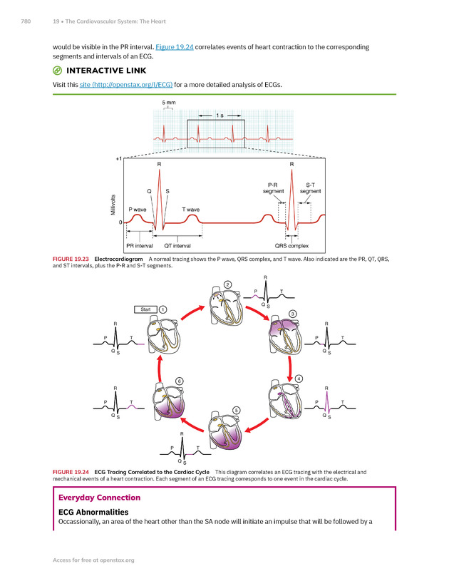 Anatomy and Physiology 2e - New Page