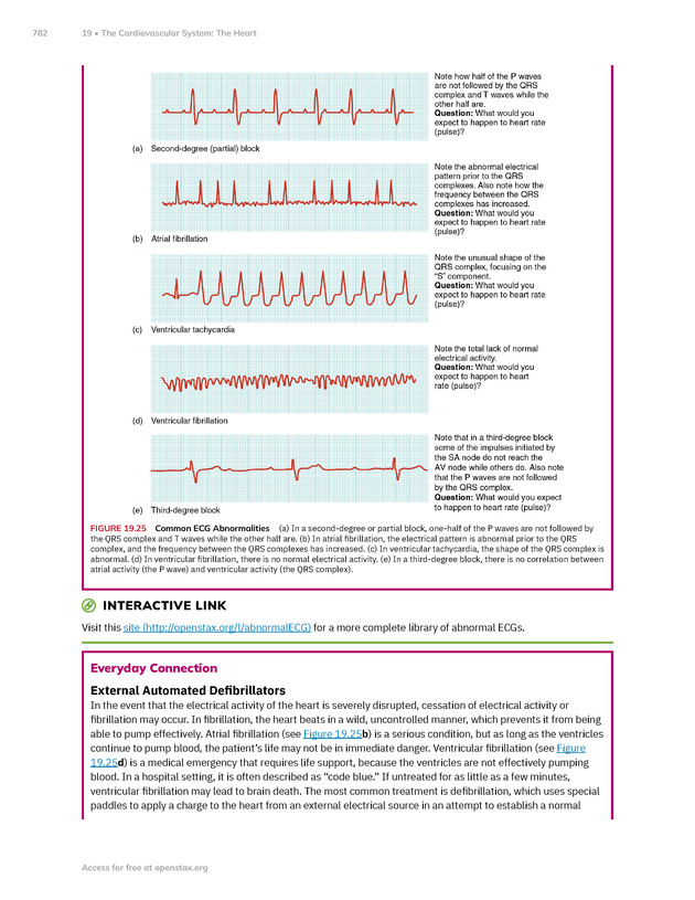 Anatomy and Physiology 2e - New Page
