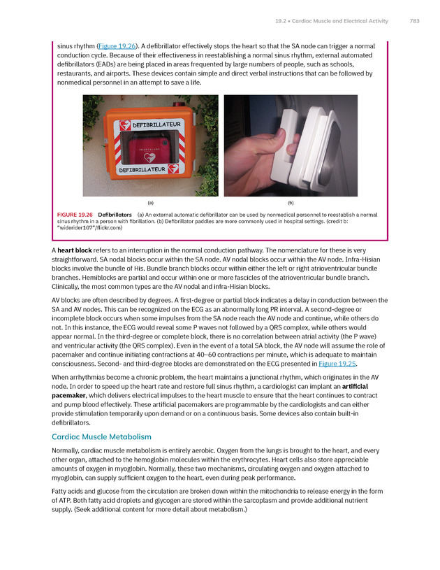 Anatomy and Physiology 2e - New Page