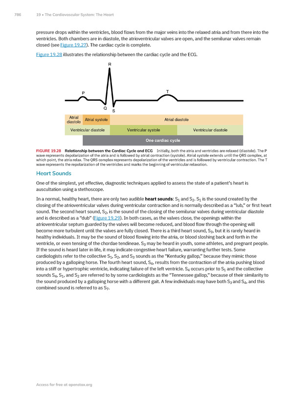 Anatomy and Physiology 2e - New Page