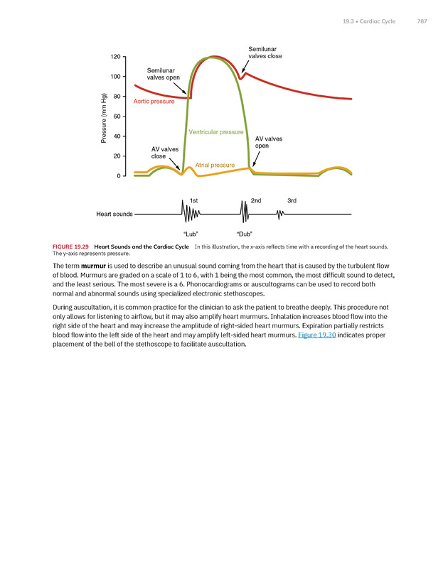 Anatomy and Physiology 2e - New Page
