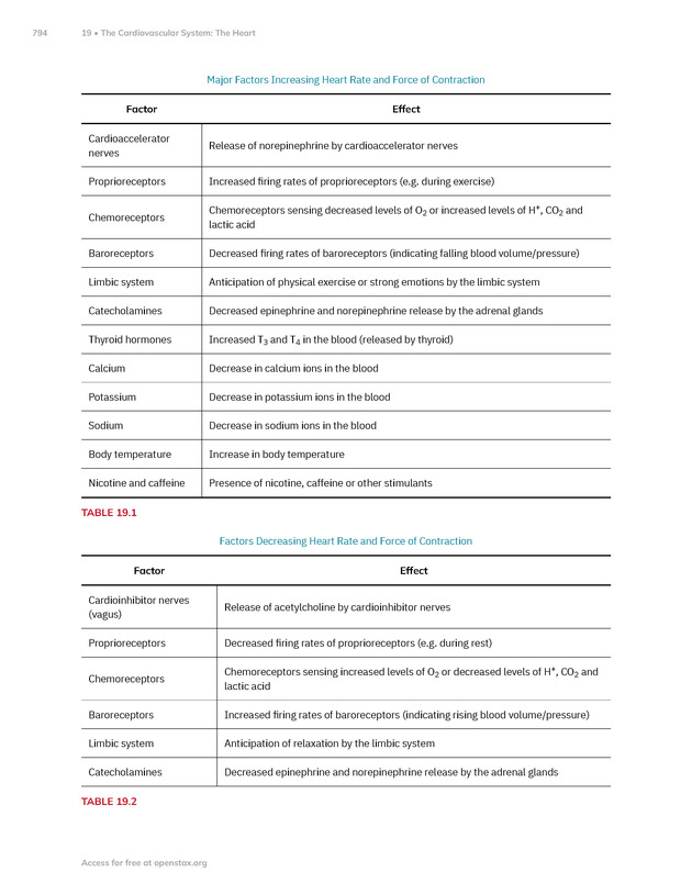 Anatomy and Physiology 2e - New Page