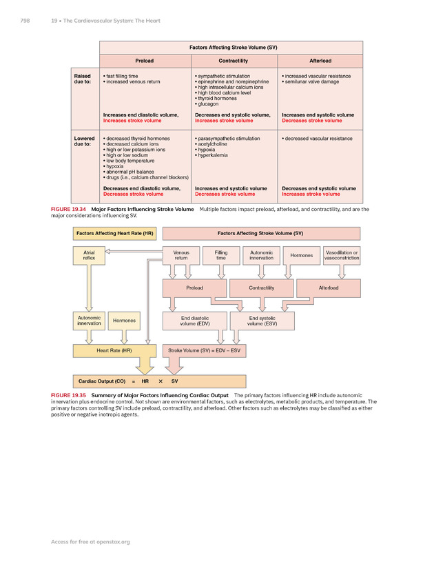 Anatomy and Physiology 2e - New Page