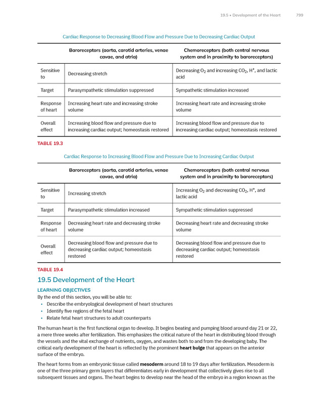 Anatomy and Physiology 2e - New Page