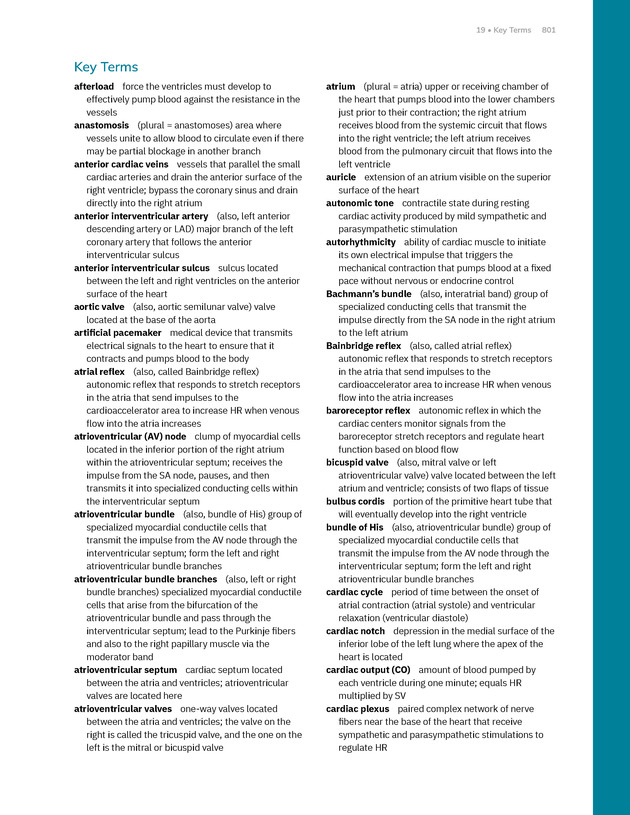 Anatomy and Physiology 2e - New Page