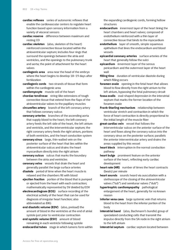 Anatomy and Physiology 2e - New Page