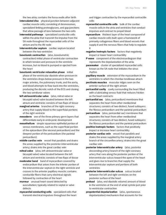 Anatomy and Physiology 2e - New Page