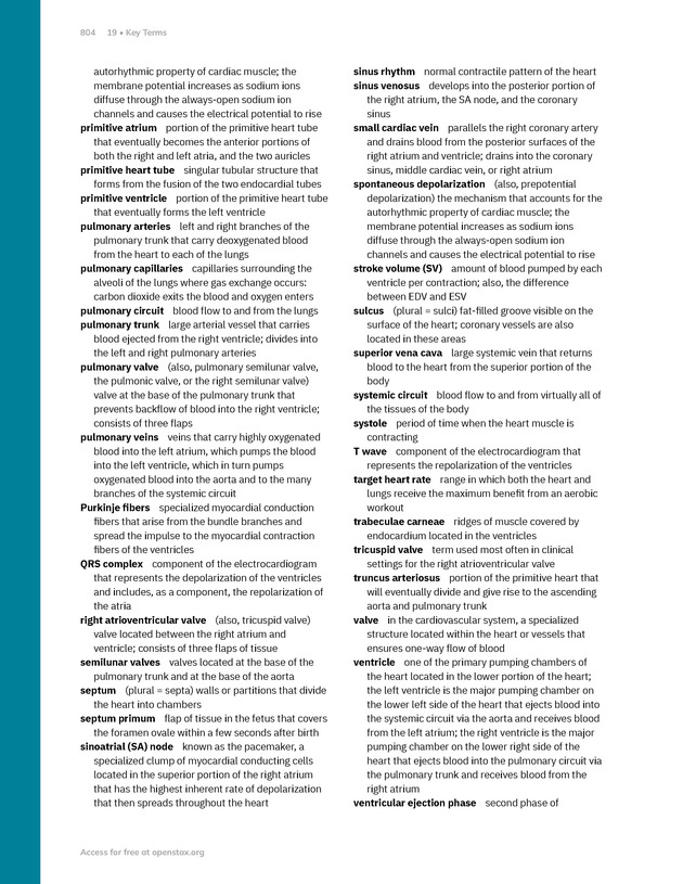 Anatomy and Physiology 2e - New Page
