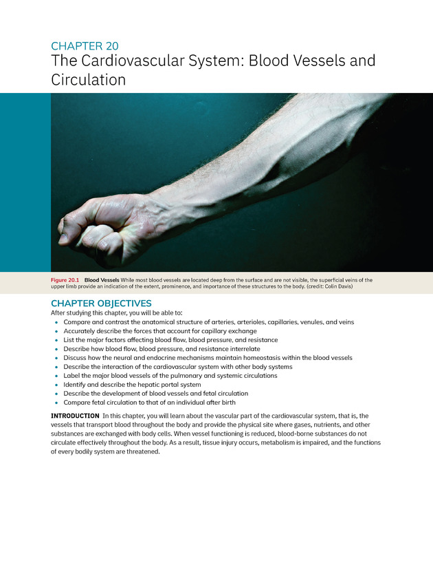Anatomy and Physiology 2e - New Page