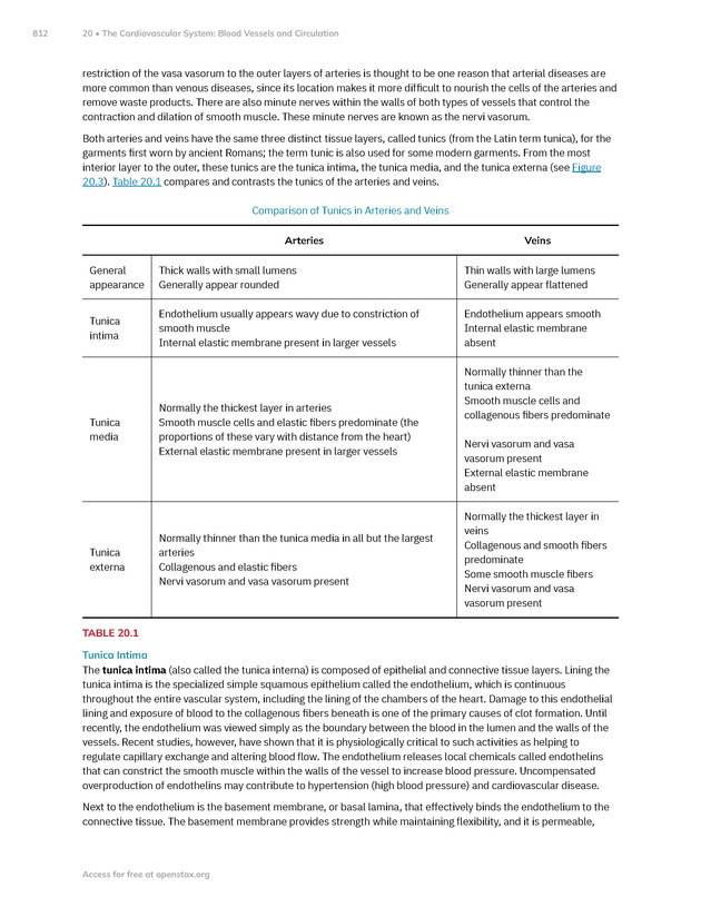 Anatomy and Physiology 2e - New Page
